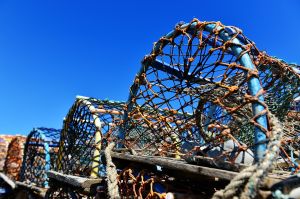 Lobster pots in Craster harbour. Lying in the lea of the castle, Craster is a cracking little venue